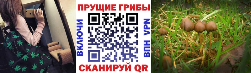 Галлюциногенные грибы мицелий  Ленск 